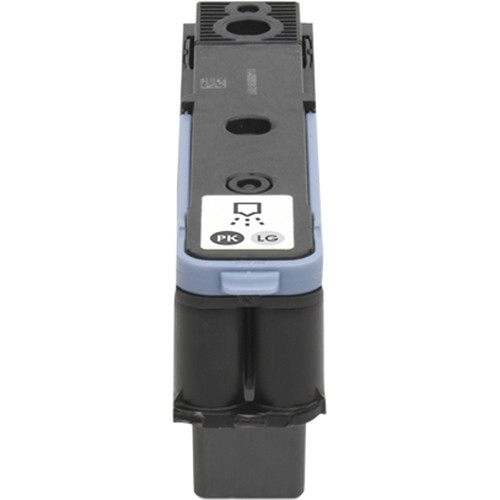 HP 91 Photo Black & Light Gray Printhead