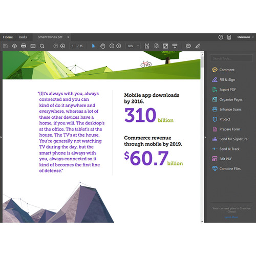Adobe Acrobat Pro Student and Teacher Edition (2017, Windows, DVD)