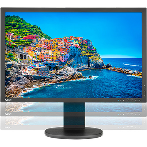 NEC PA243W-BK-SV 24.1