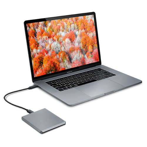 LaCie 2TB USB 3.1 Type-C Mobile Drive (Space Gray)