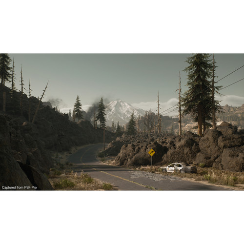 Sony Days Gone (PlayStation 4)