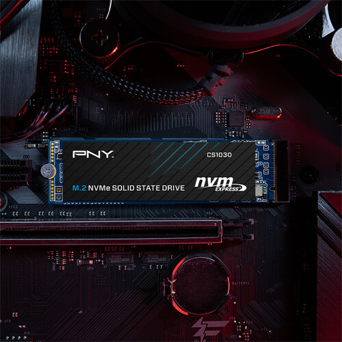 PNY Technologies CS1030 250GB M.2 NVMe SSD
