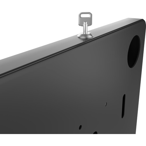 CTA Digital Locking Tablet Wall Mount (Black)