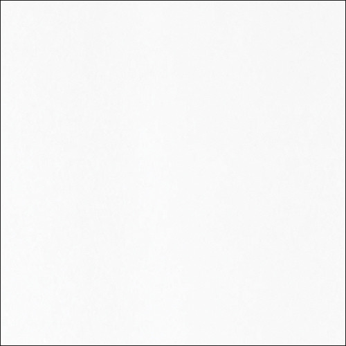 Canson Infinity Platine Fibre Rag Paper (17 x 22", 25 Sheets)
