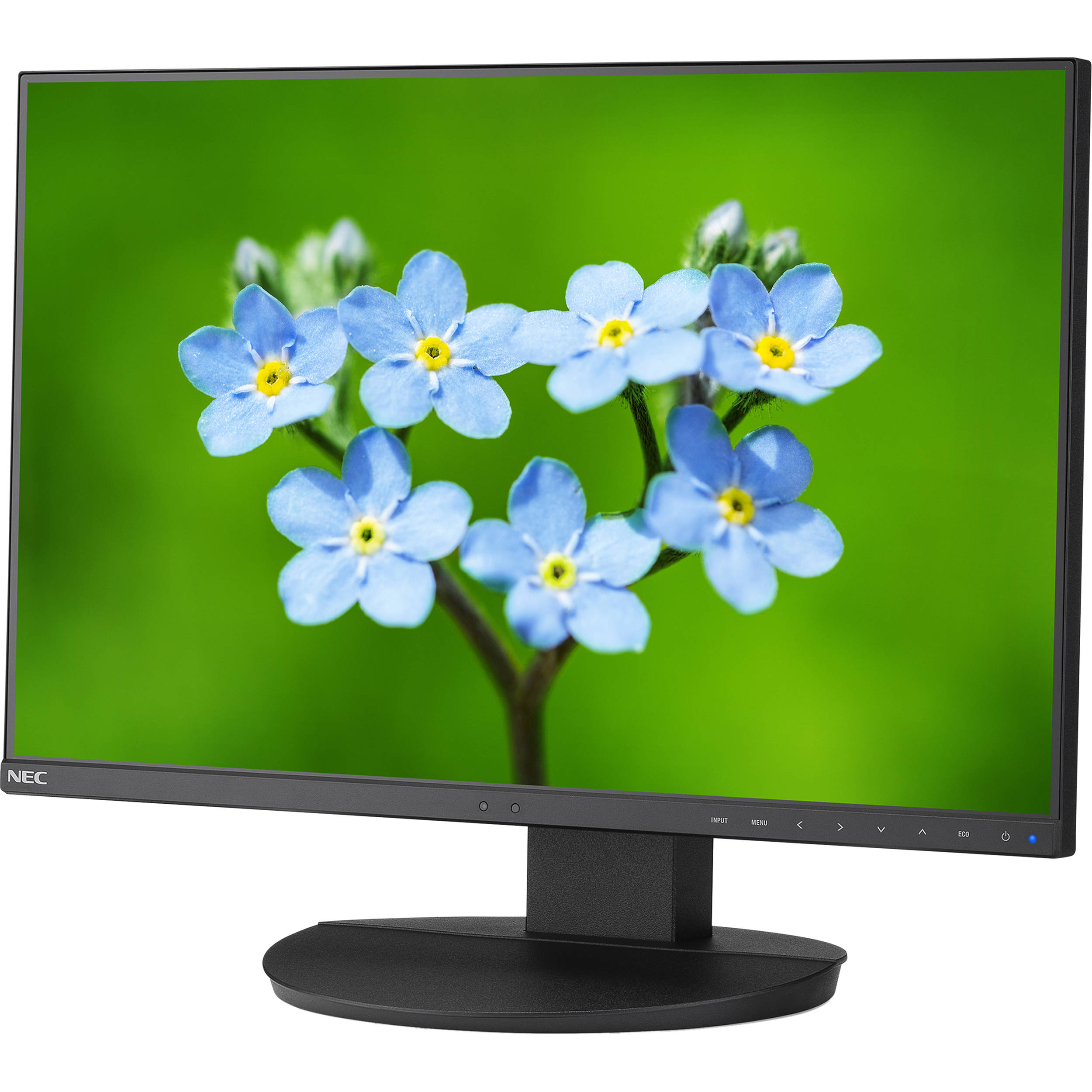 NEC MultiSync EA241F 23.8" 16:9 IPS Monitor with SpectraView Color Calibration Solution